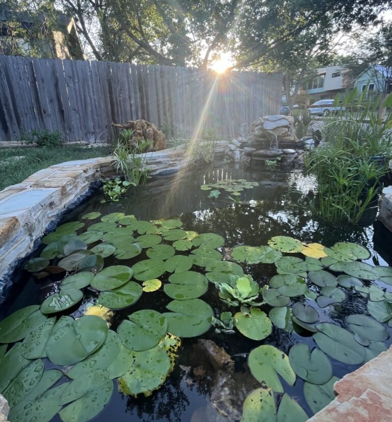 How to Prepare Your Plants For a Freeze: Winterize Your Garden the Shamballah Home & Gardens Way