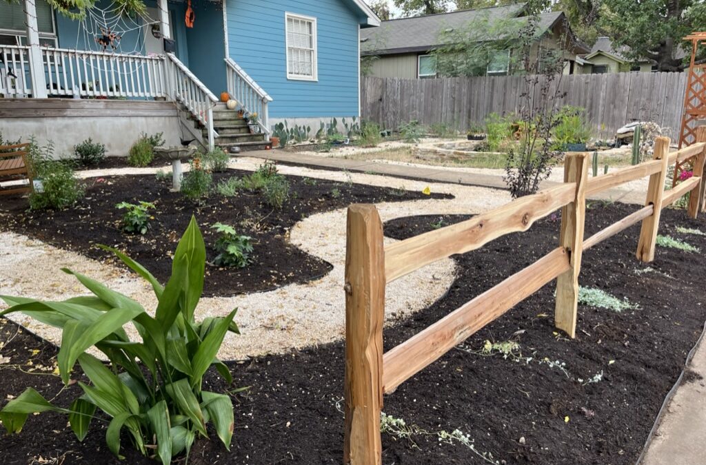 Fall Garden in Texas: Don’t Miss The Perfect Growing Season