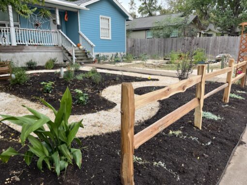 Fall Garden in Texas: Don’t Miss The Perfect Growing Season