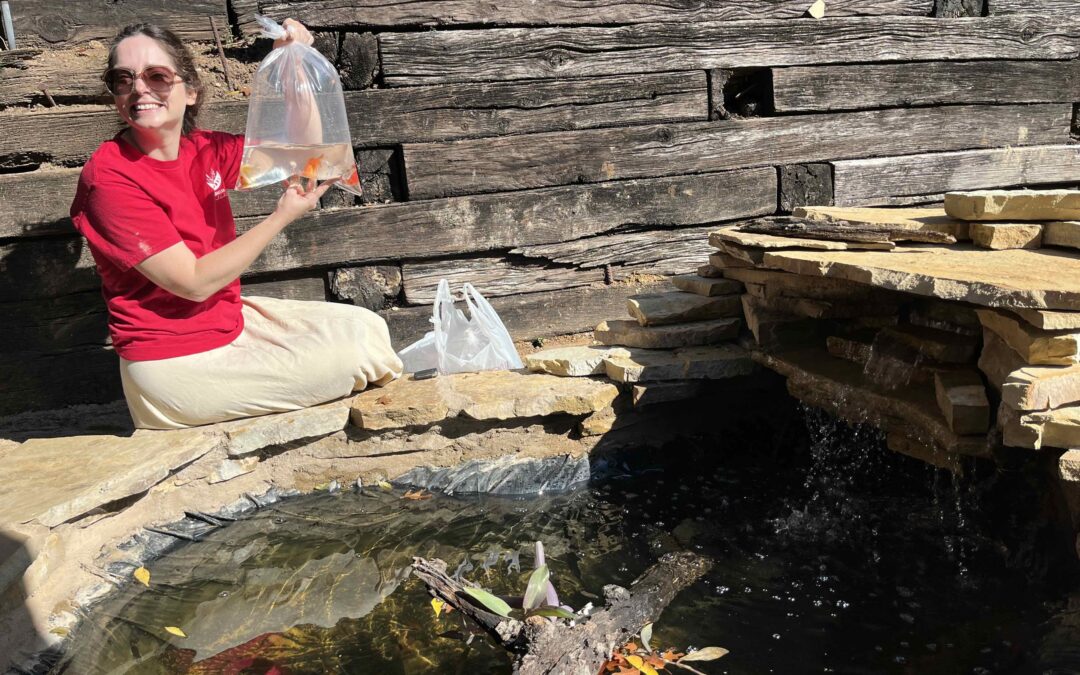 Meet Dr. E. Jane Bradbury | Founder of Shamballah Home and Gardens