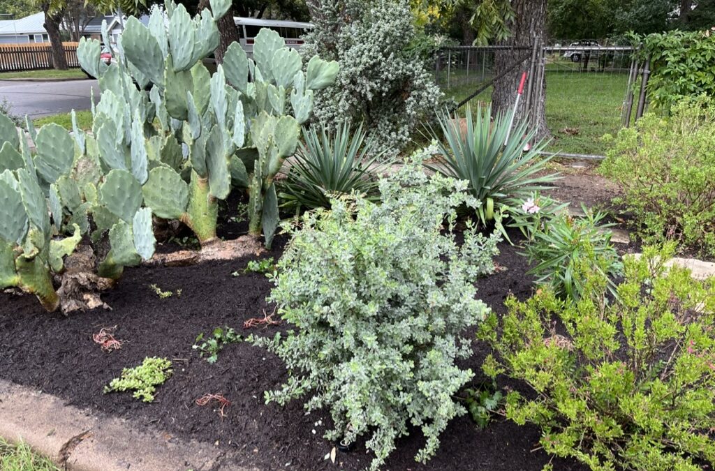 What Sets Us Apart from Other Landscape Professionals?