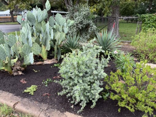 What Sets Us Apart from Other Landscape Professionals?