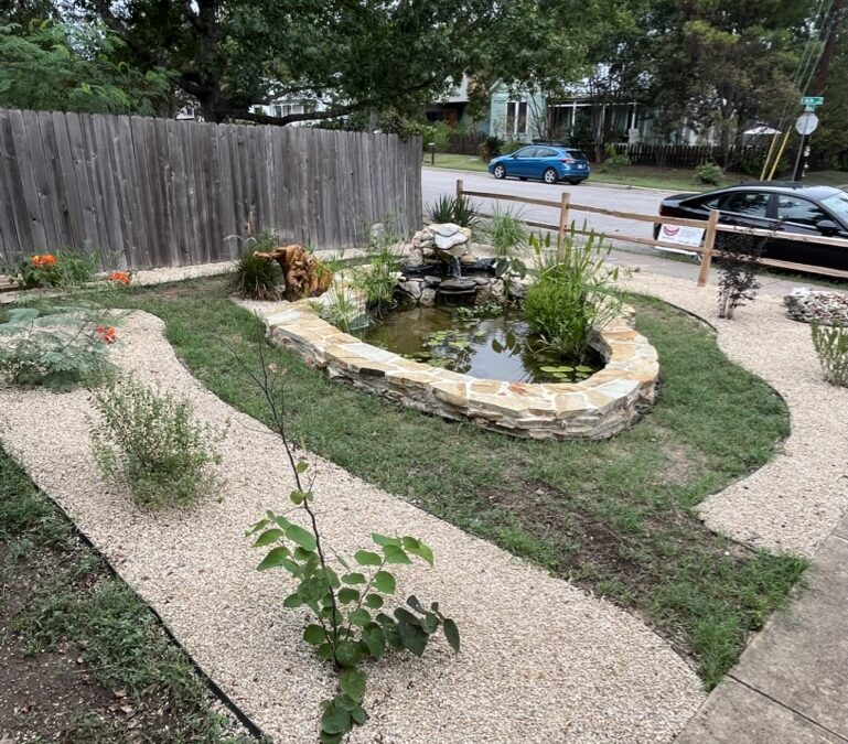 Water Wise Landscaping: Conserving Our Most Precious Resource