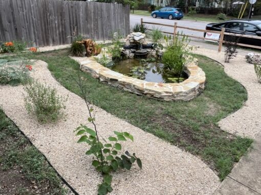 Water Wise Landscaping: Conserving Our Most Precious Resource