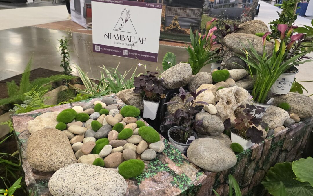Bringing Living Plants Into Commercial Indoor Spaces (And Why Most People Get It Wrong)