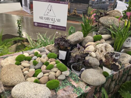 Bringing Living Plants Into Commercial Indoor Spaces (And Why Most People Get It Wrong)