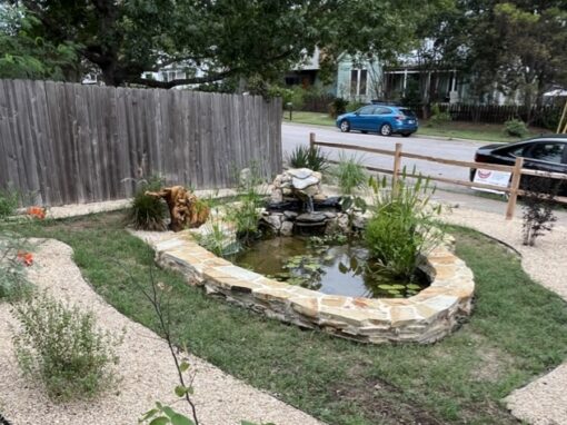 Embracing Water Retention in Landscape Design to Support Conservation