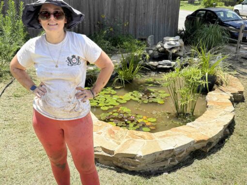 Cultivating Living Spaces: How Shamballah Home & Gardens Transforms Commercial Landscapes with Dr. E. Jane Bradbury